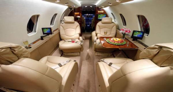 Citation XLS - miniatura 4