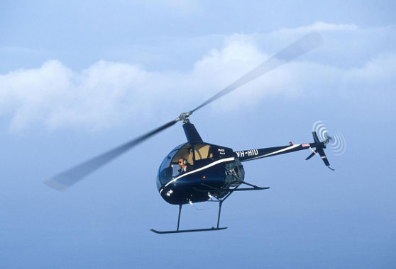 Robinson R22
